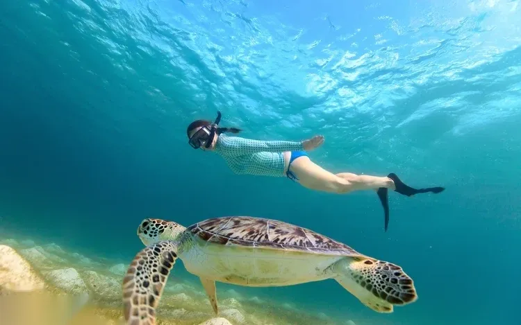 Abu Dabbab Sea Turtle Snorkeling Trip — view 2