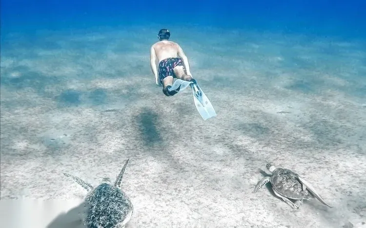 Abu Dabbab Sea Turtle Snorkeling Trip — view 4