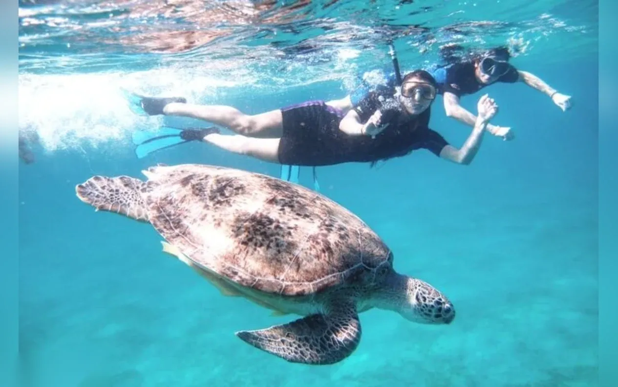 Abu Dabbab Sea Turtle Snorkeling Trip — view 5