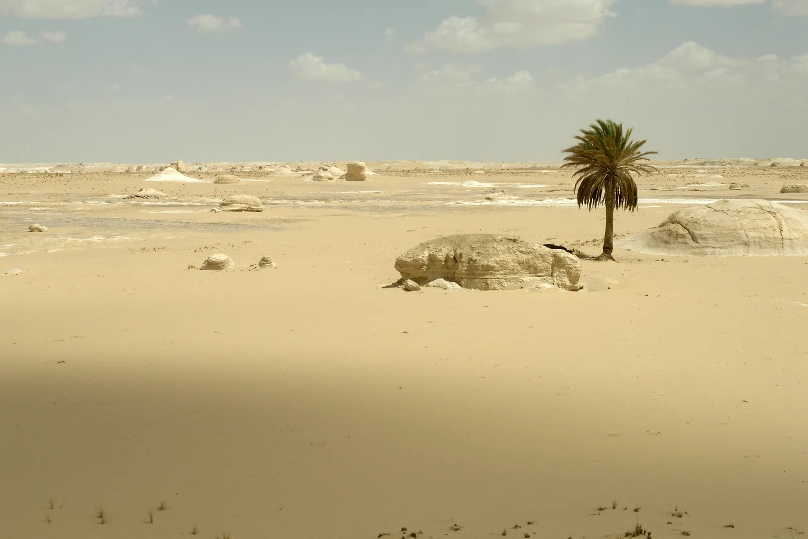Bahariya Oasis Golden Mummies & Temple of Alexander Tour — view 5
