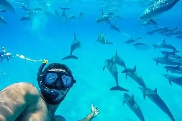 Best Dolphin Family Activities — view 2