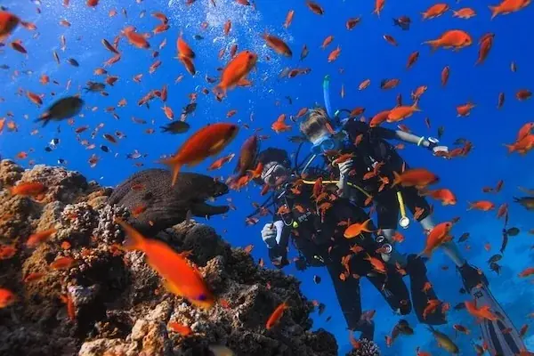 Certified Diving Trip — view 3