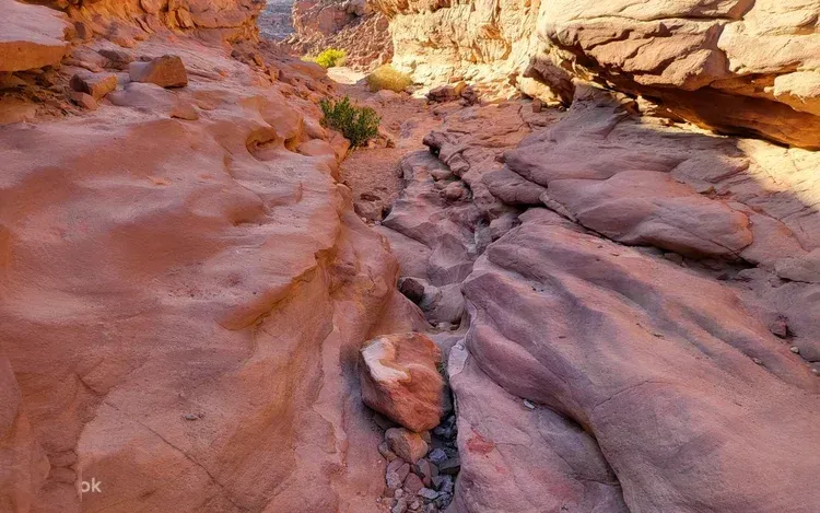 Dahab & Blue Hole Day Trip — view 4