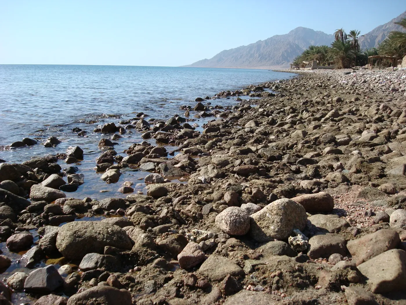Dahab Desert Quad Bike Safari & Bedouin Tea — view 4