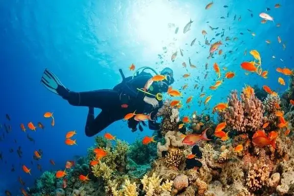 Discover Scuba Diving — view 5