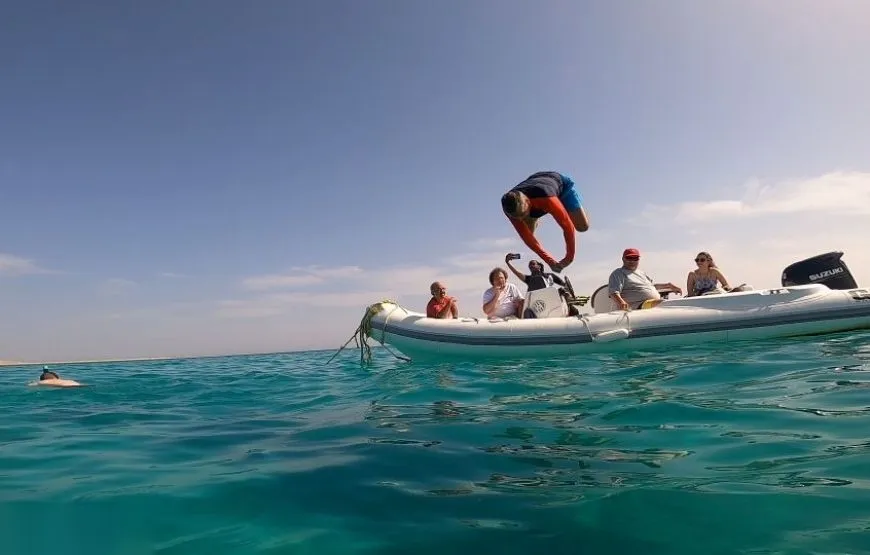 Dolphin House Speedboat Tour — view 5