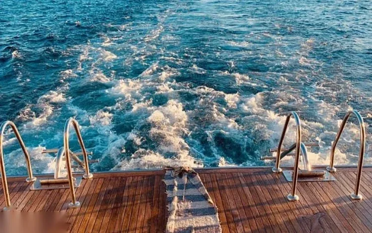 Dolphin Reef Snorkeling Tour — view 5