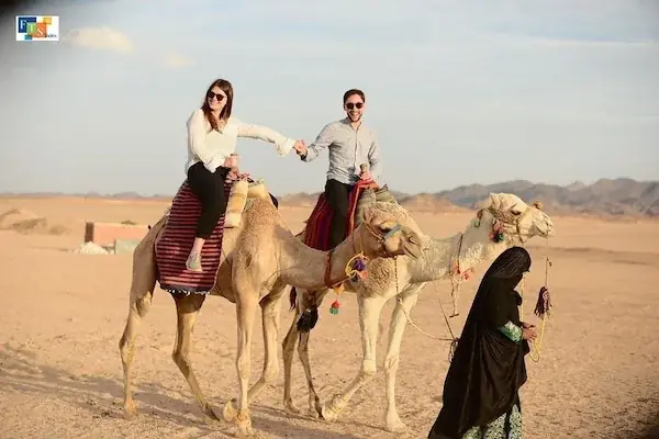 Family Desert Safari — view 3