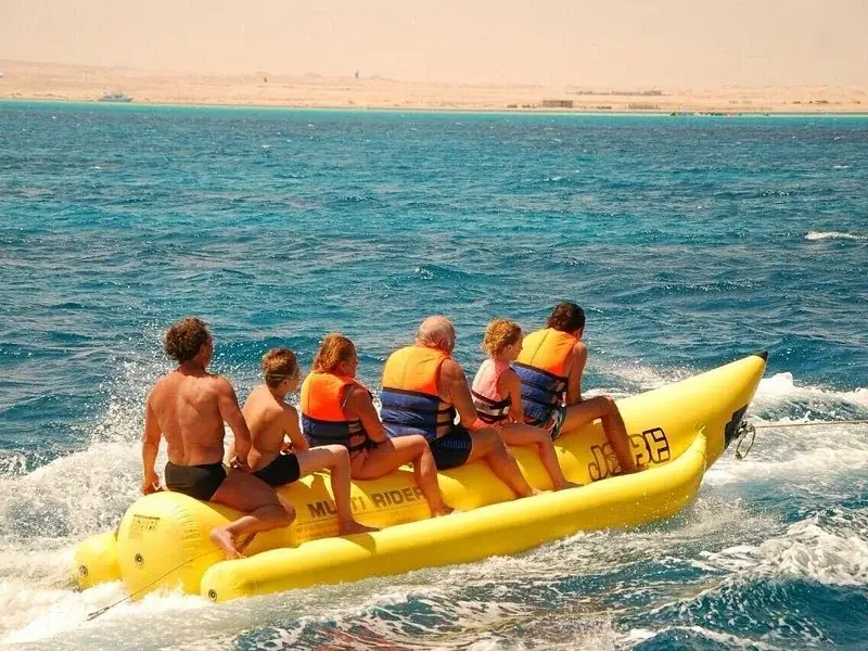 Family Dolphin Tour — view 2