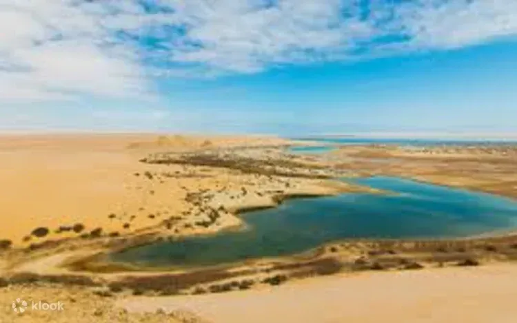 Fayoum Oasis & Wadi El-Rayan Waterfalls Tour — view 2