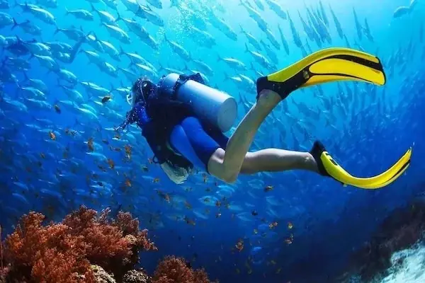 Full Day Diving Boat Tour — view 5