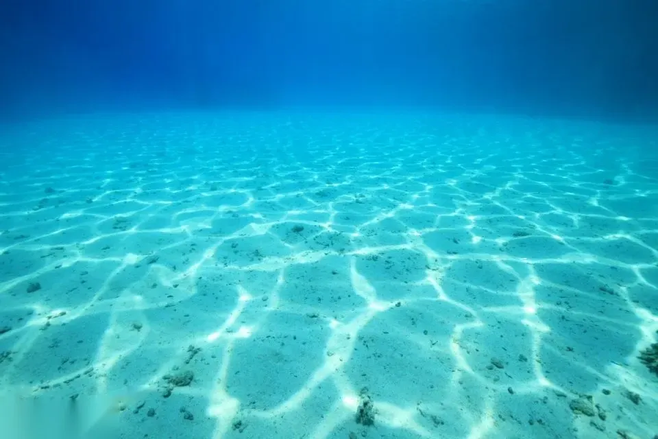 Giftun Island Snorkeling Excursion — view 5