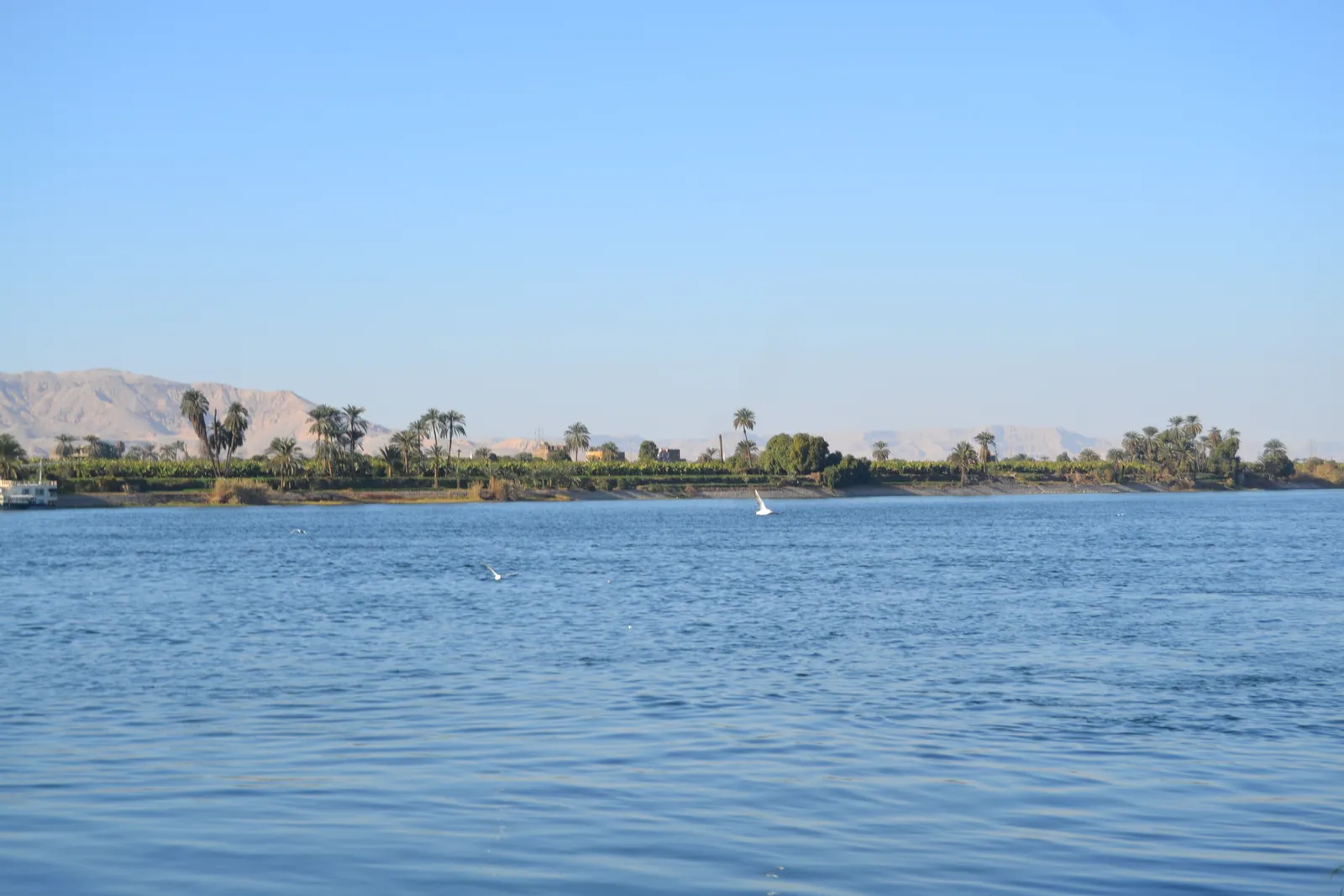 Nile Felucca Sunset Sail — view 2