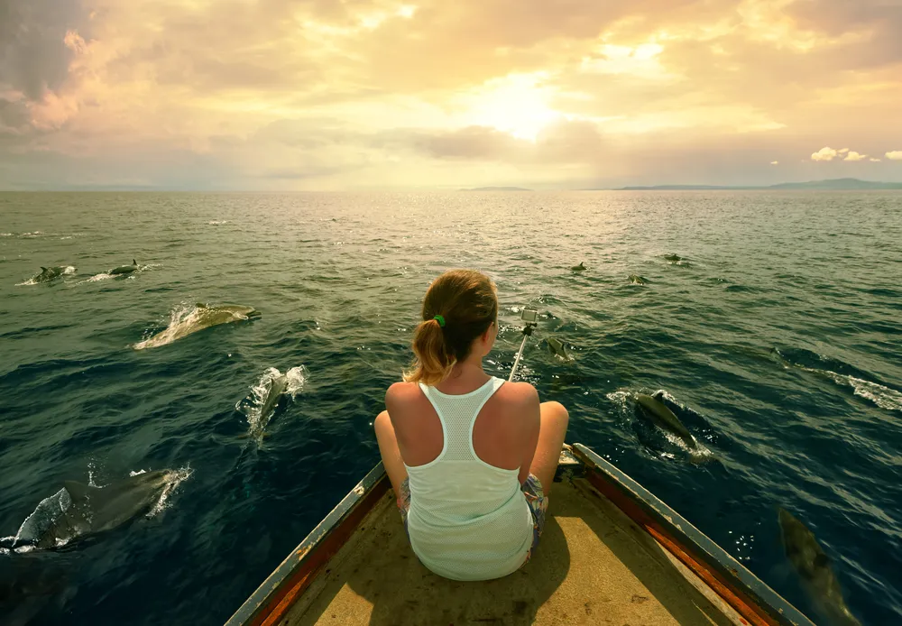 Luxury Speedboat Charter — view 4