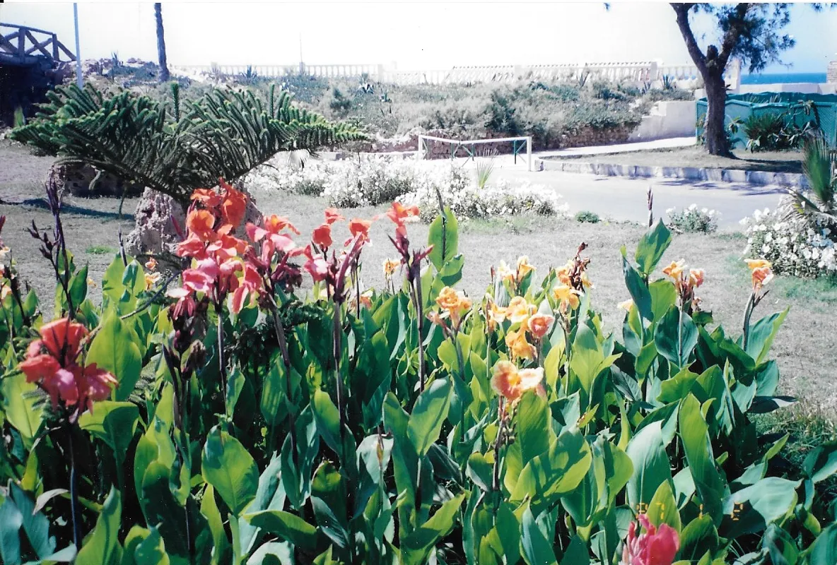 Montaza Palace & Gardens Tour — view 3