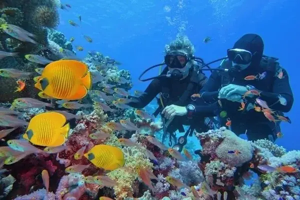 PADI Deep Diver — view 5