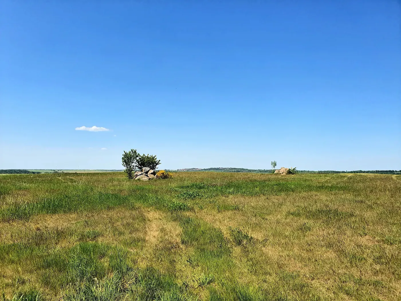 Private Black Desert & Crystal Mountain Day Trip — view 2