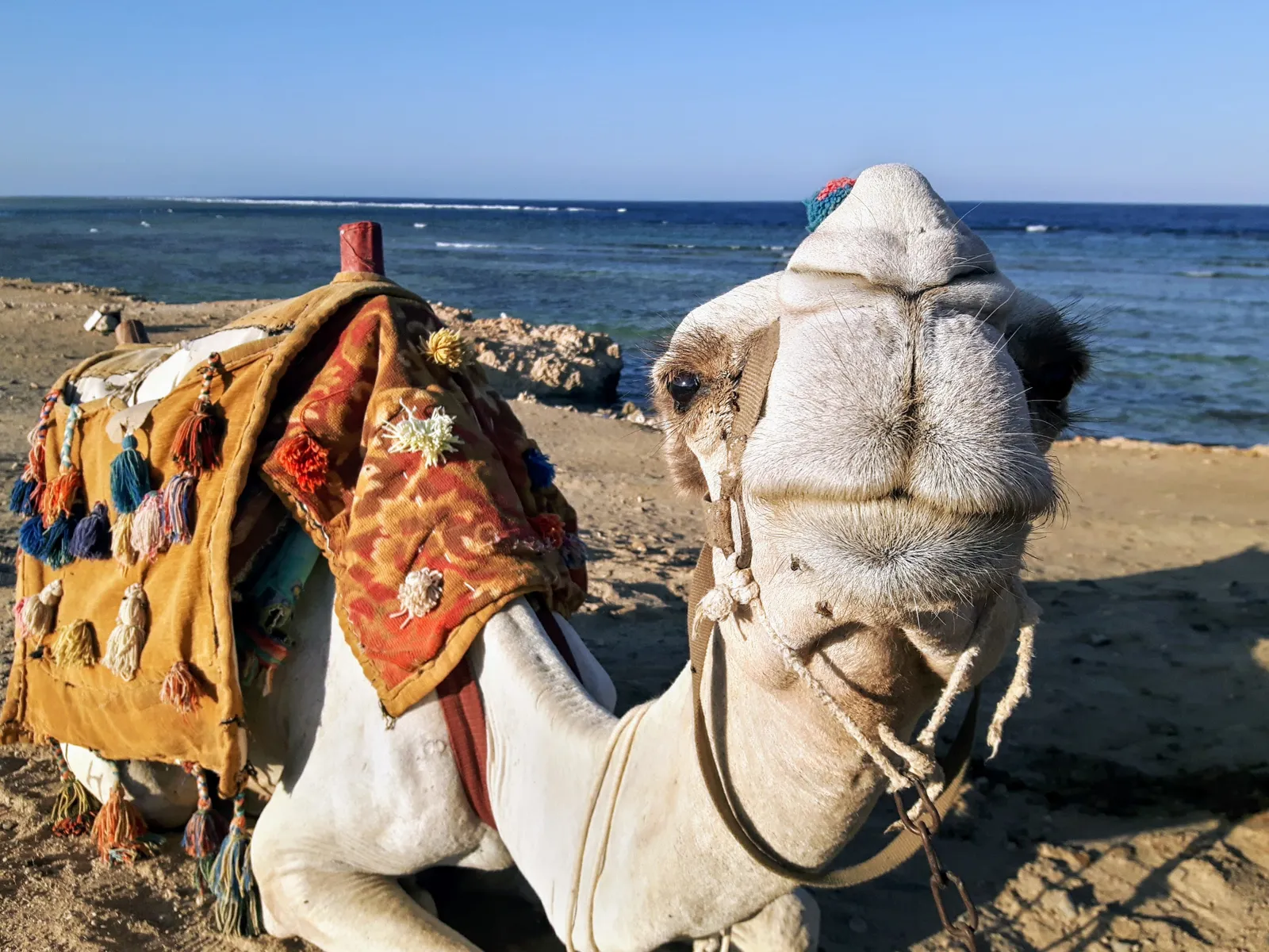 Private Sunset Fishing Trip — view 4